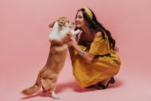 Joyful stylish girl with black wavy hair in bandana and long yellow sundress looking at corgi and p